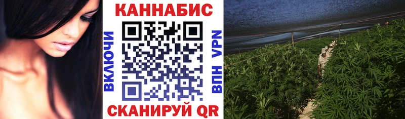 Шишки марихуана SATIVA & INDICA  закладки  Горячеводский 